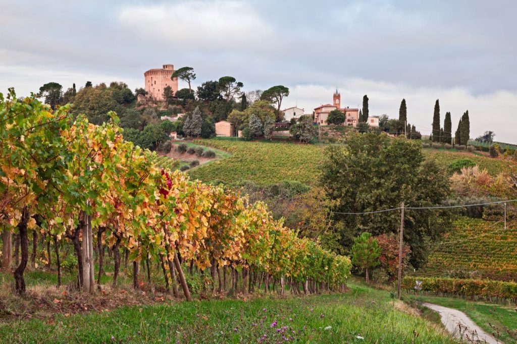 Oriolo dei Fichi Ph. ermess via Shutterstock