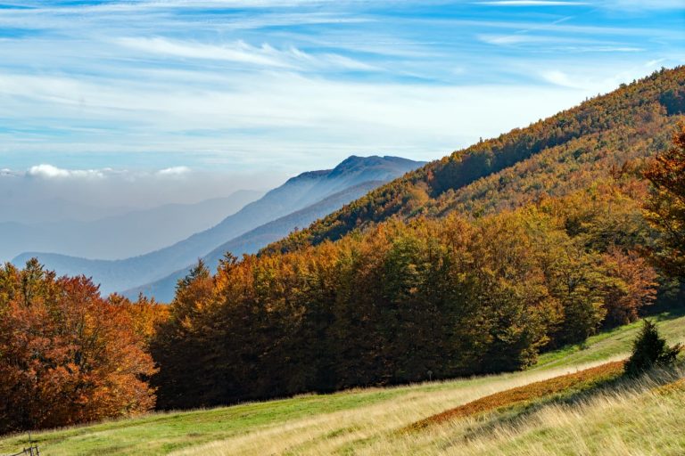 6 idee per scoprire il Parco delle Foreste Casentinesi