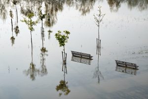 Il segno dell'acqua, 2023 ©Andrea Bernabini